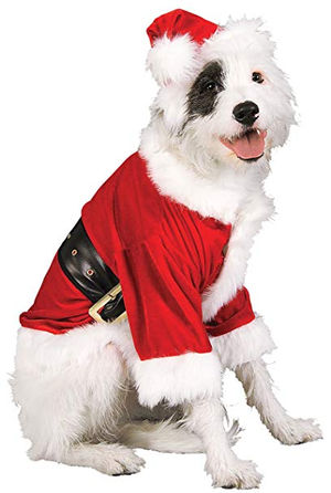 Thirty Christmas Gift Ideas for Pets and Pet Lovers