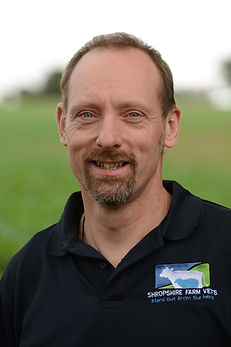 I graduated Ghent, Belgium 1996. I worked in mixed practices in Four Crosses, Carmarthen and Montgomery before seeing the light in 2004 and focusing on farm animals only.

My interests are Bovine surgery and cattle lameness. I get a lot of satisfaction out of making lame cows better and training clients the correct 5 step foot trim. As a practice we regularly organise foot trimming courses and provide training days.

Recently I became a Mobility Mentor with DairyCo. I’m also passionate about fertility and preventative medicine in sheep.