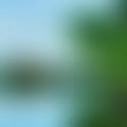 Places to Visit in Kerala in Summer 2023