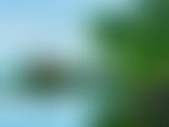 Places to Visit in Kerala in Summer 2023