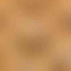 Whiskey & Rye Chocolate Chip Cookie dough pressed out on tray with sugar, salt and vanilla mixture topping, ready to be baked.