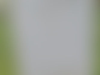 Remebering Norman ANTHONY #4672