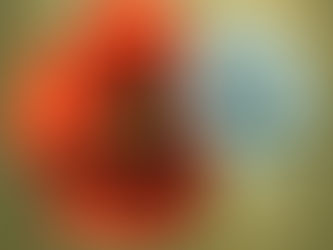 Remembering Thomas BANNAN #802