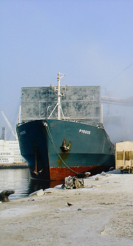 DSC01274.jpg