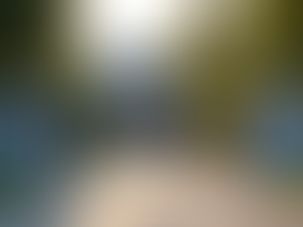 Choosing the Right Automatic Gate for Your Property