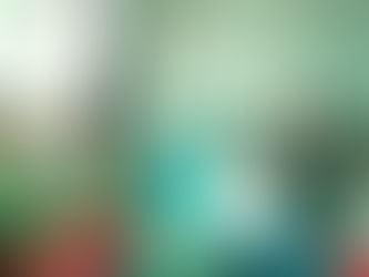 Independence Day Celebration