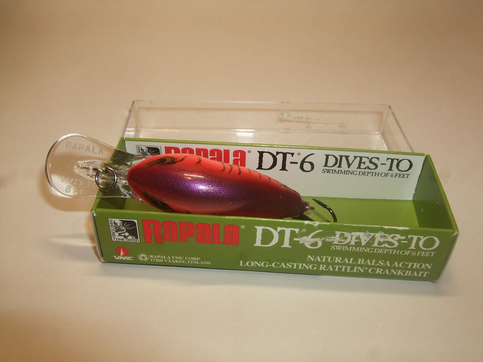 Thumbnail: Rapala DT-6 Demon