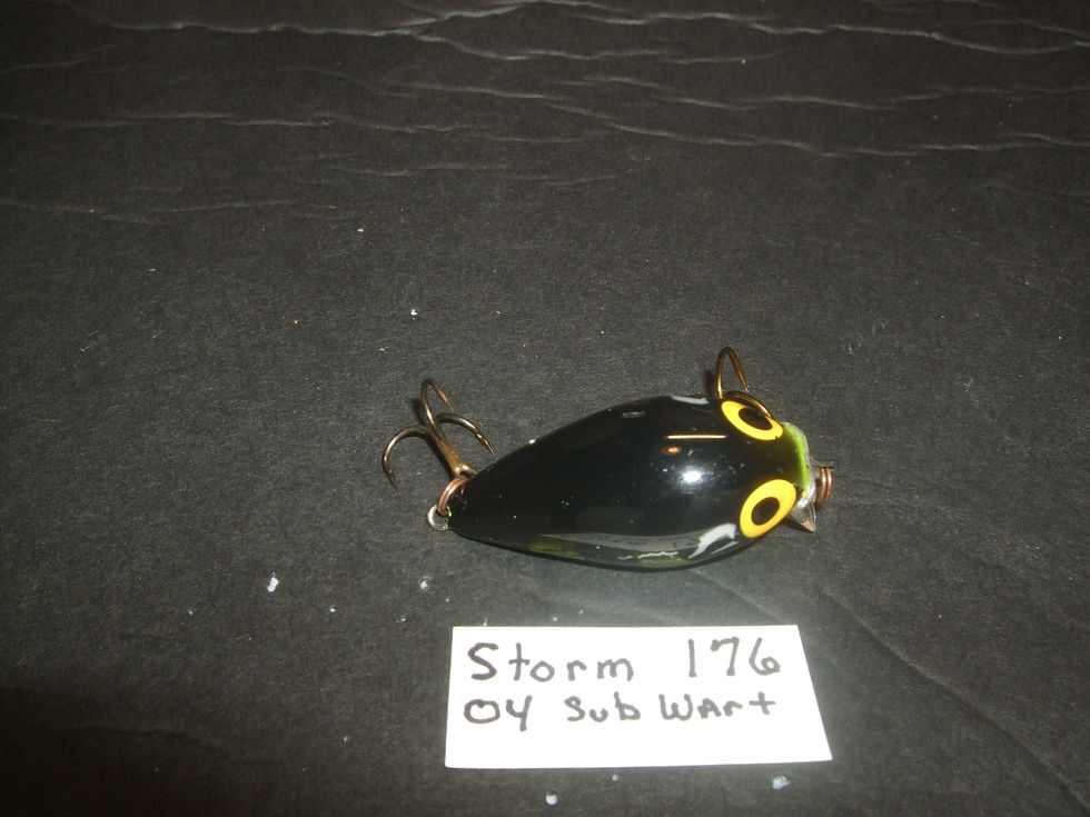 Thumbnail: Storm 04 Sub Wart