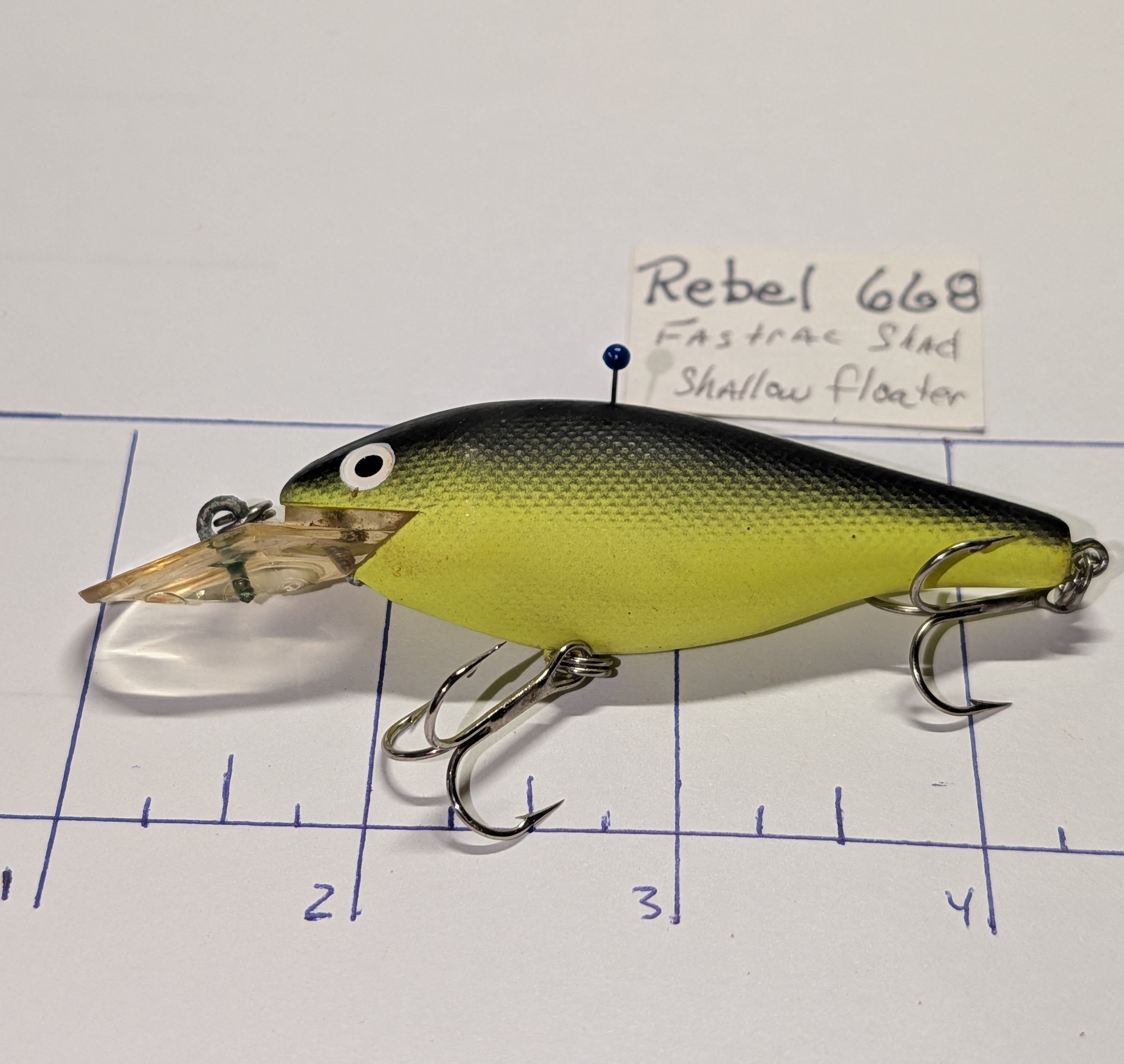 Rebel Fastrac Shad Shallow Floater Color C Lector bass fishing lure