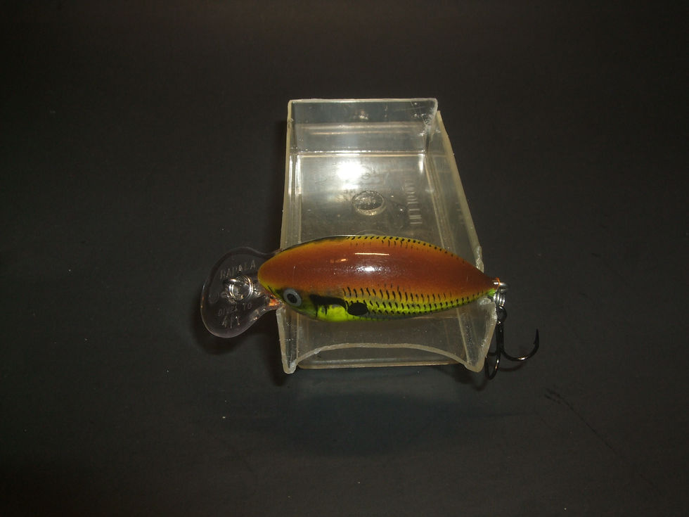 Thumbnail: Rapala DT-4 Hot Mustard
