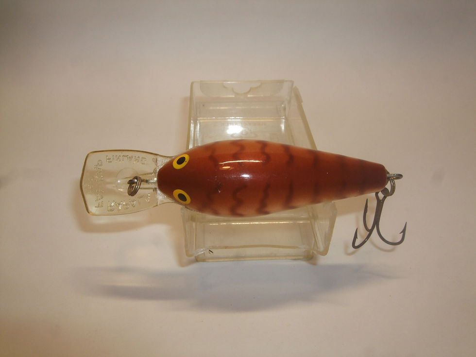 Thumbnail: Rapala Fat Rap FR-7 CW