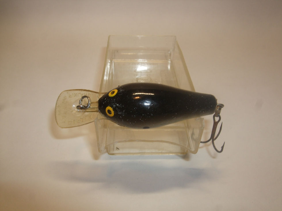 Thumbnail: Rapala  Fat Rap FR-5 Pearl