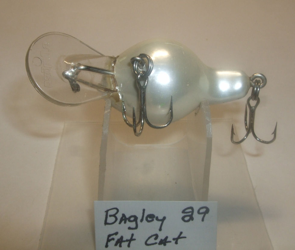 Thumbnail: Bagley Fat Cat