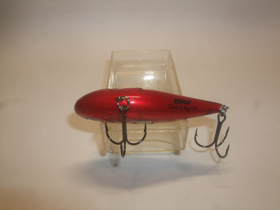 Thumbnail: Rapala Clackin Rap 08