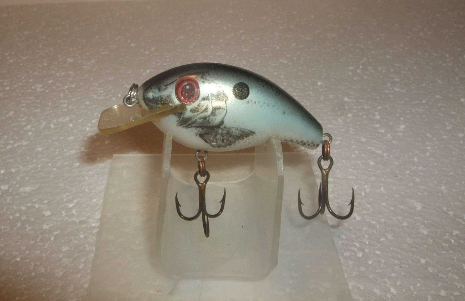 Rebel Square Bill Shallow Wee R