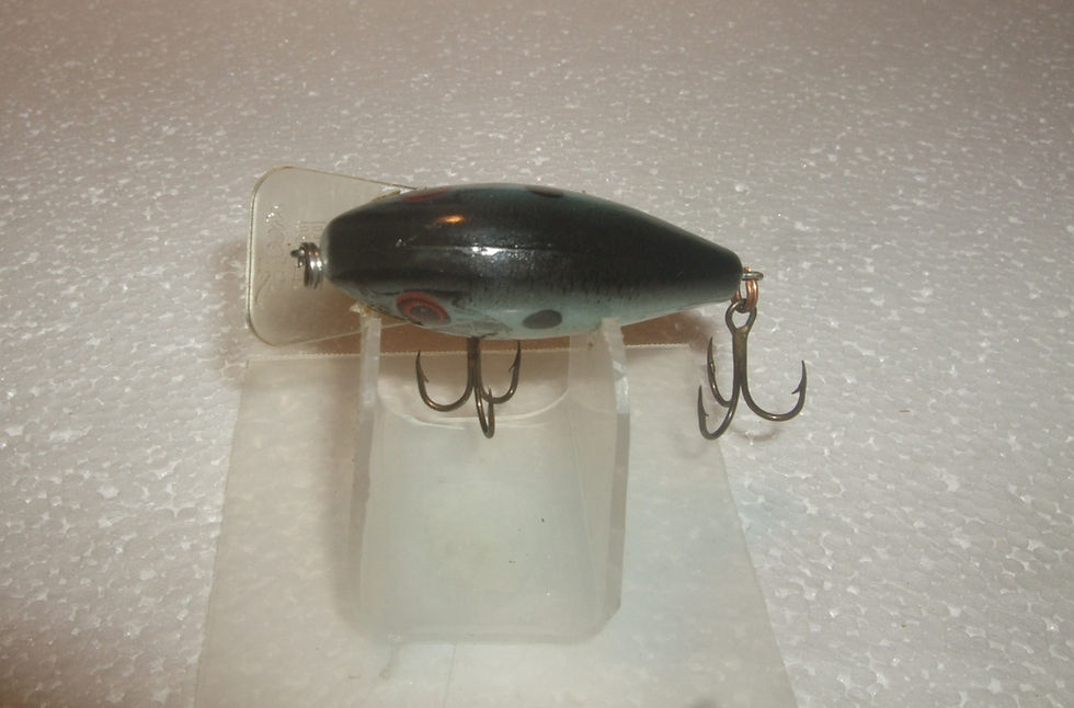Thumbnail: Rebel Square Bill Shallow Wee R