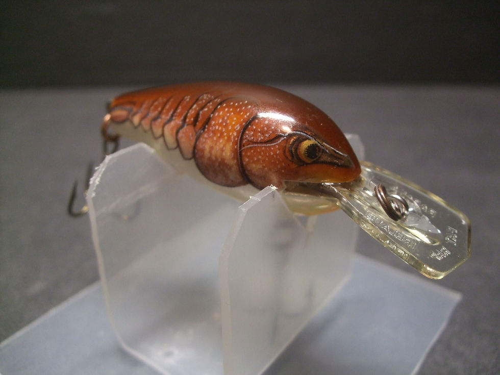 Thumbnail: Rapala Fat Rap FR-5