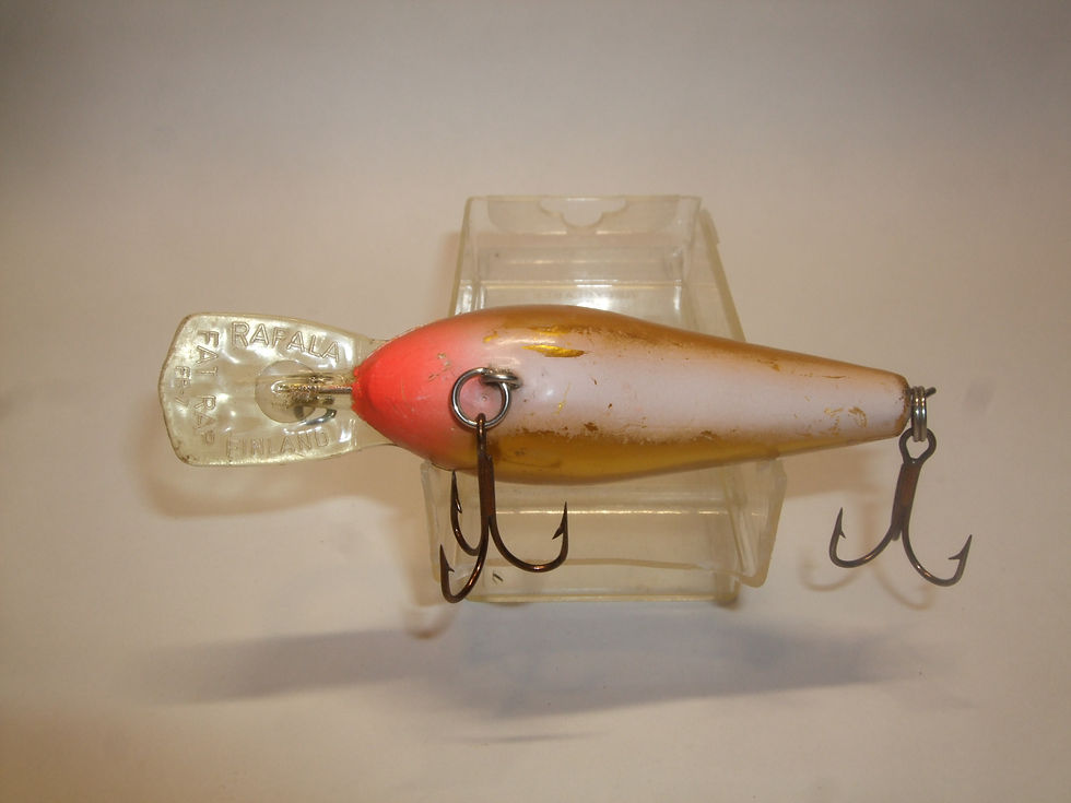 Thumbnail: Rapala Fat Rap FR-7 GFR