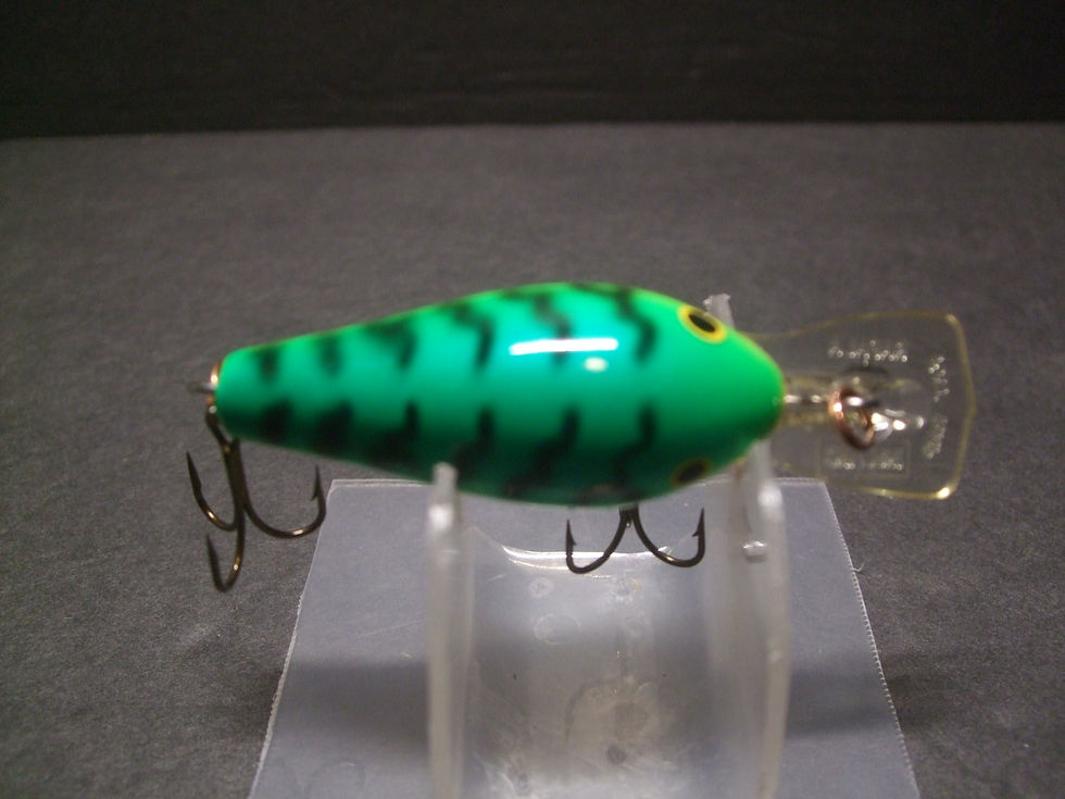 Thumbnail: Rapala Fat Rap FR-5 FT