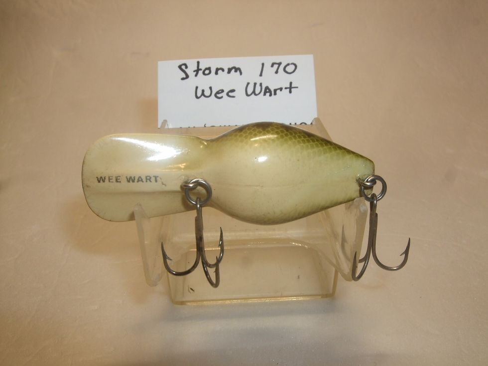 Thumbnail: Storm Wee Wart