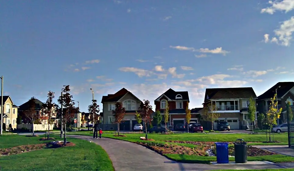 Vaughan-pest-control.webp