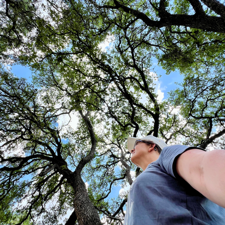 Celebrating the Summer Solstice: Embracing the Peak of Light and Life