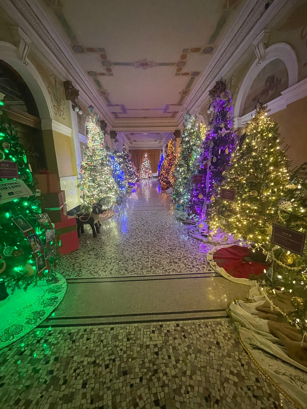 Christmas at the Capitol
South Dakota Capitol Building