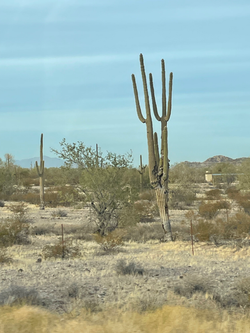 Arizona