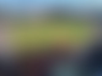 Hot dog with all the toppings at the White Sox stadium