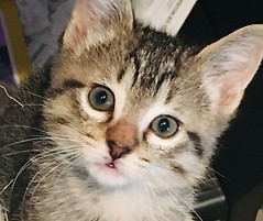 IMG_1455 2_edited.jpg