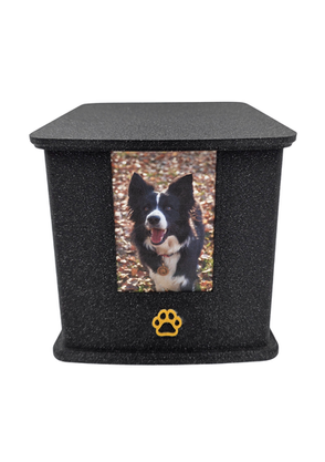 urna dla psa z miejscem na zdjęcie urna da pupila urna dla kota urna dla psa urna na zdjęcie