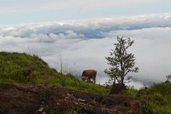 14599919_1485940901432629_2130317912_o