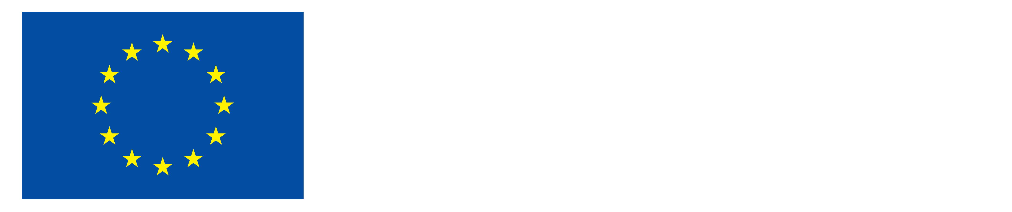 FI Euroopan unionin osarahoittama_NEG.png