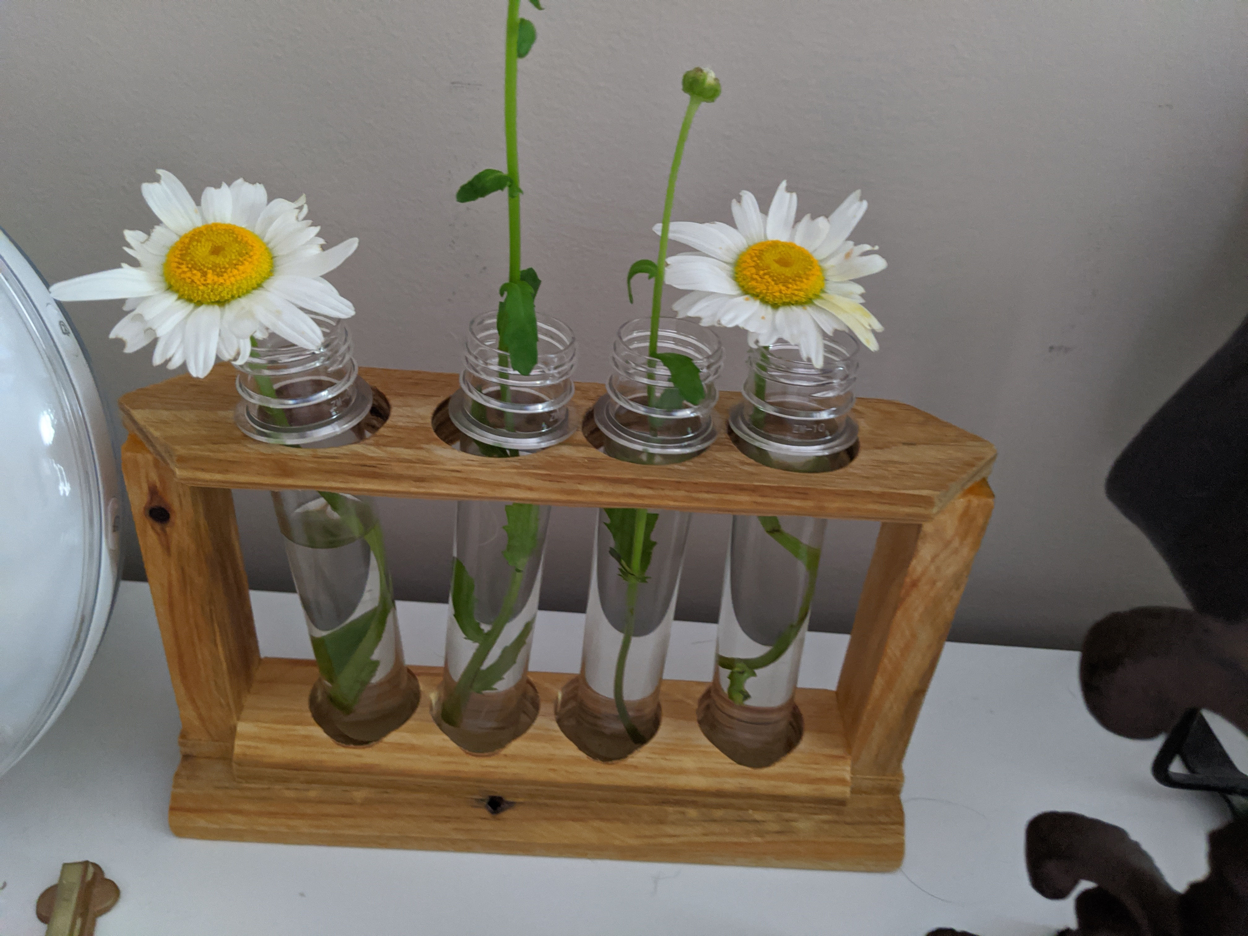 Flower Vases Holder