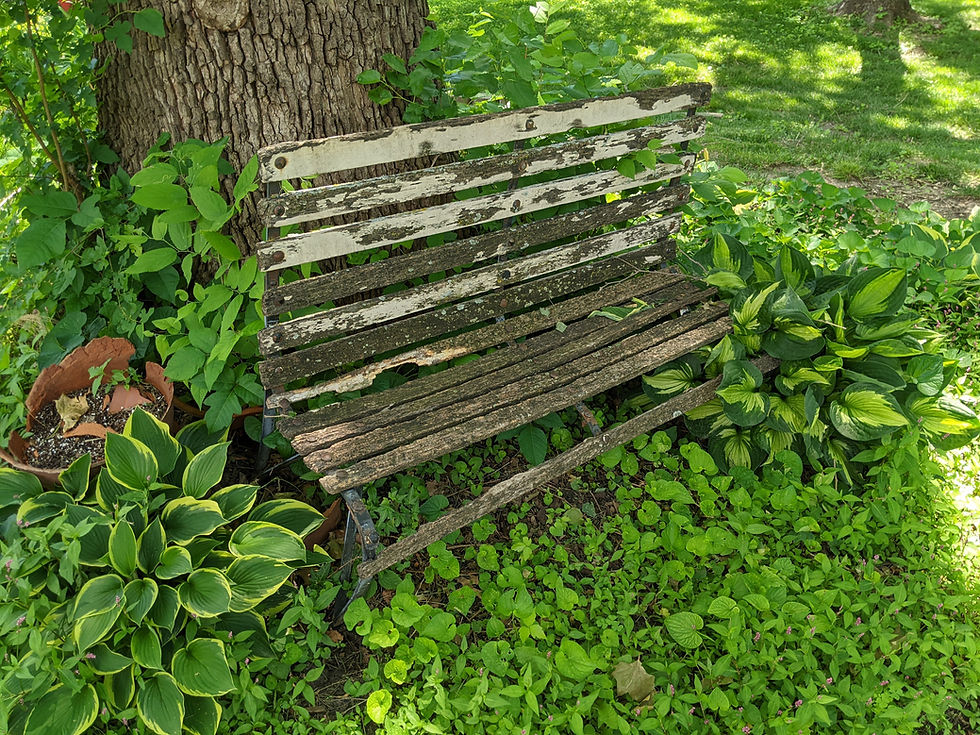 Thumbnail: Outdoor Bench Repair