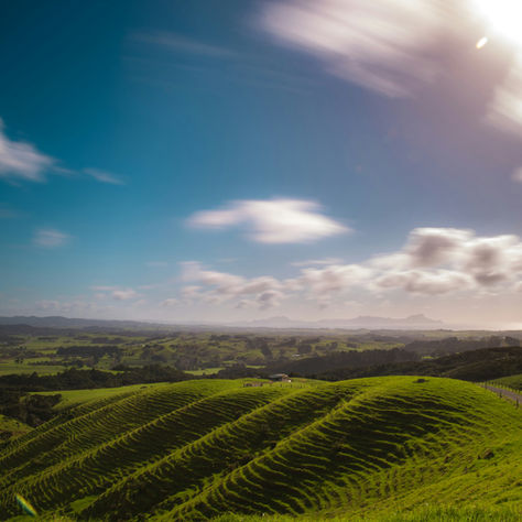 CarbonCrop's responses to New Zealand's second emissions reduction plan consultation questions