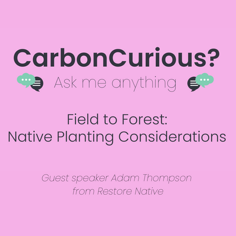 Field to Forest: Native Planting Considerations