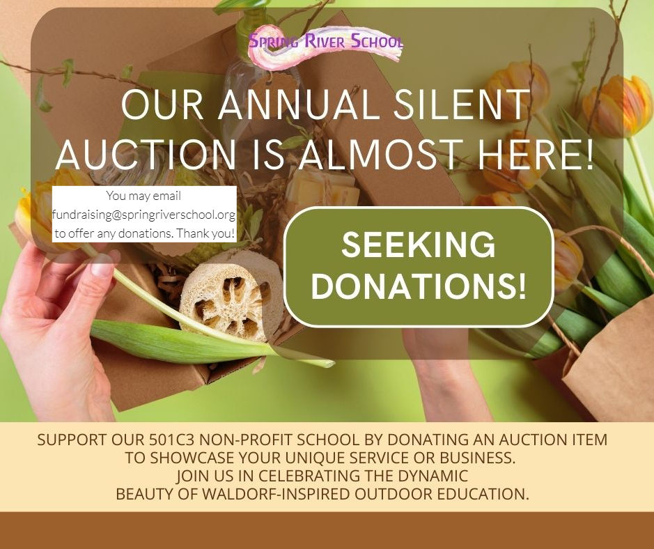 Silent Auction Website_edited.jpg