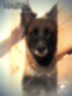 Naska