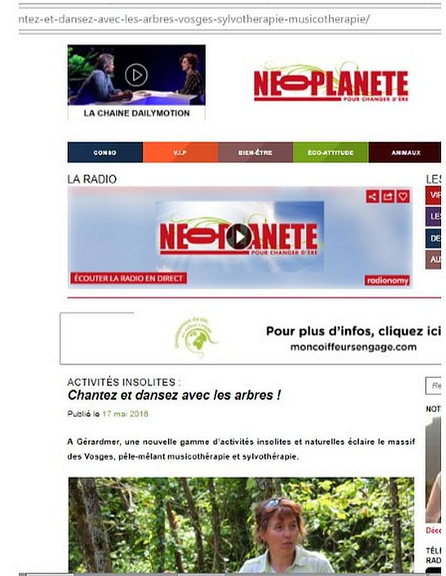 De la musique à la sylvothérapie