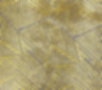 BARRIE GOLDEN $15 / YD