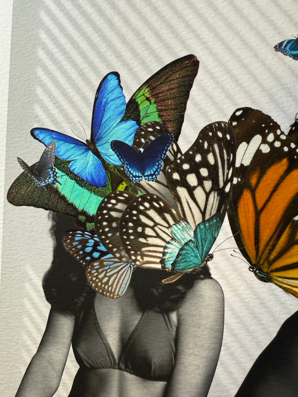 Thumbnail: Let there be Flight