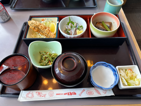 看護師同行・介護士同行・介護付き外出・介護外食・お刺身