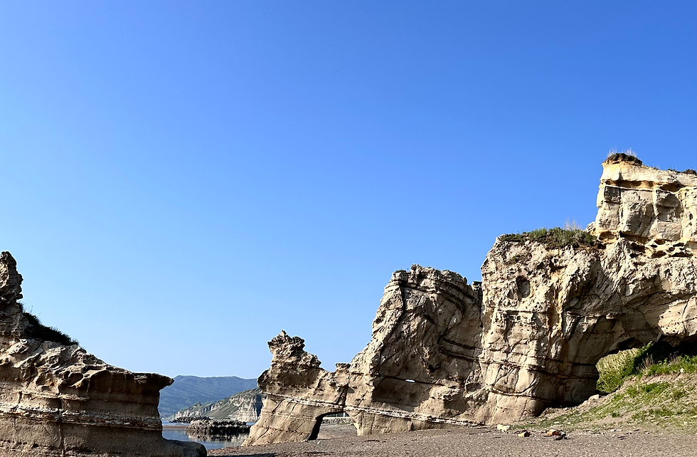 Travel Hemodialysis in Sapporo