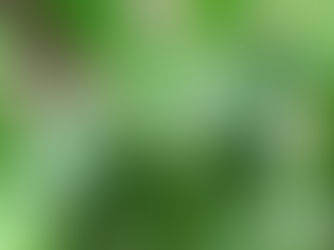 Worry if it rains / Worry if it doesn't