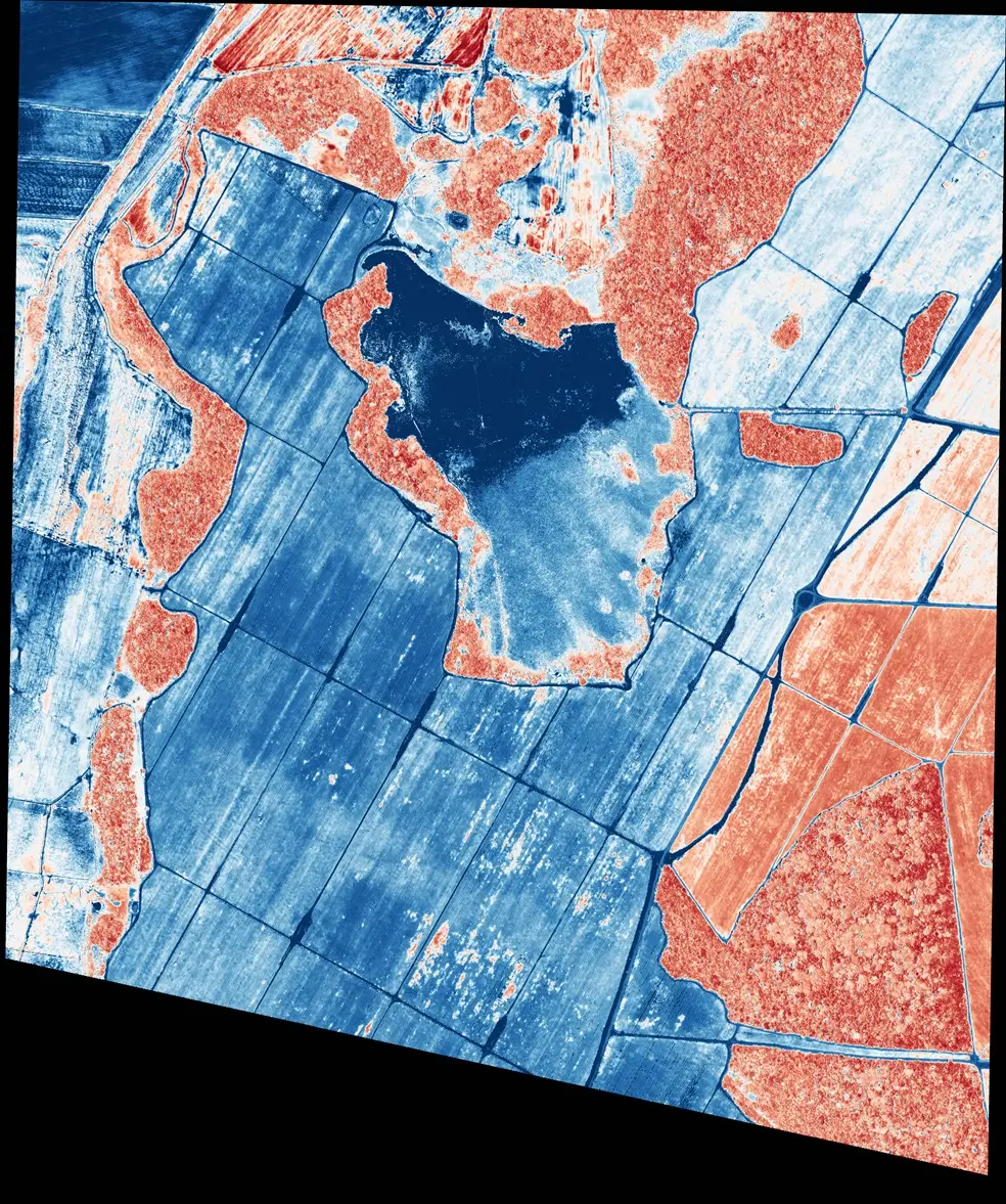 Detailed satellite image analysis of soil moisture levels in Mato Grosso, Brazil. The image illustrates a case study on moisture detection, using colour variations to indicate soil moisture content across the fields, assisting in water resource management strategies