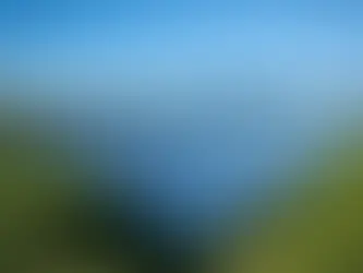 Accurate AI-Assisted Optimisation of Solar Farms