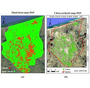 Hyperspectral Satellite Image Analysis of Citrus