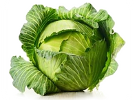 Vegetable: Golden Acre (Heirloom / Open - Pollinated) Grown with Liqui-Dirt!