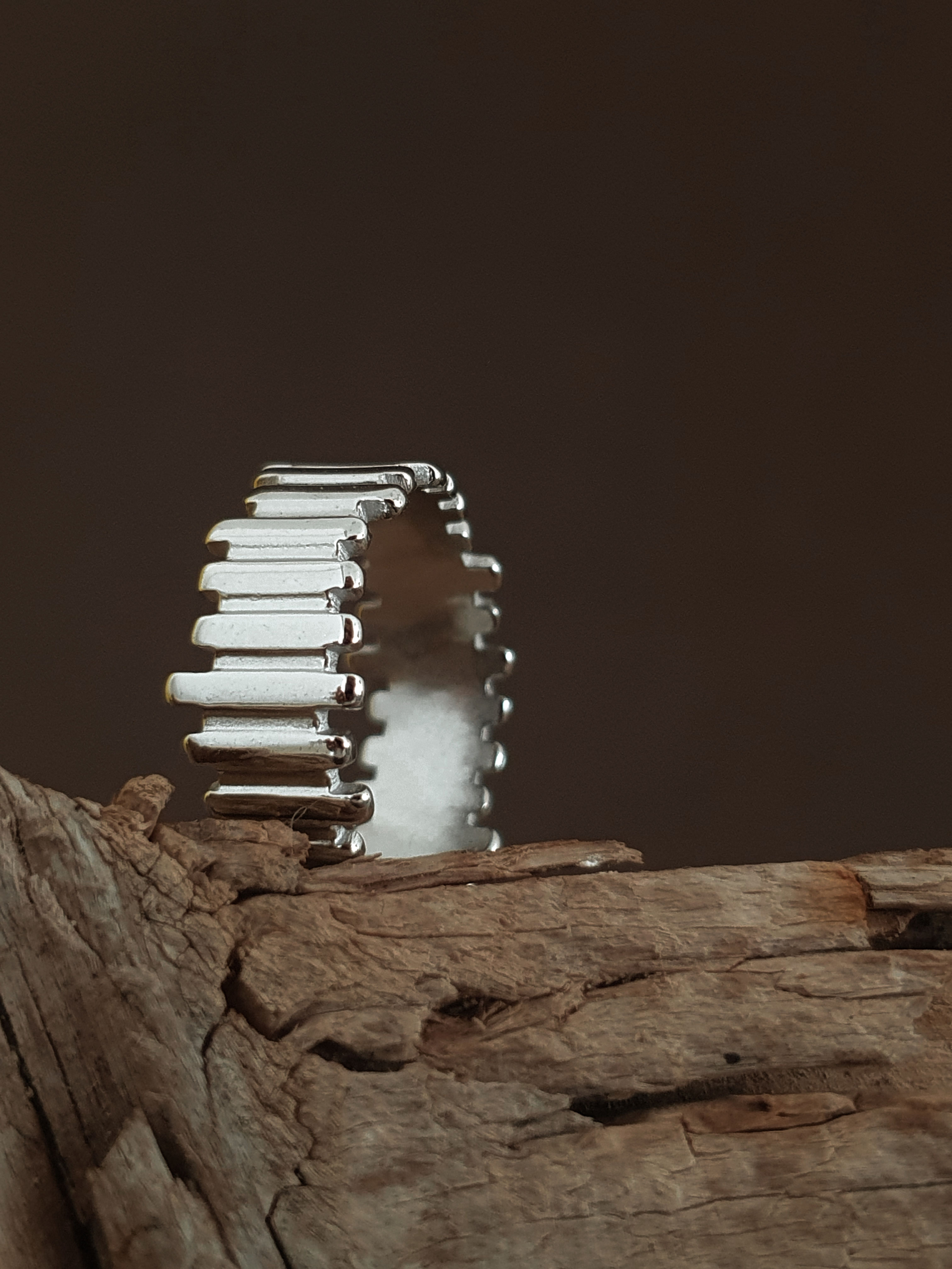 Tiara Stainless Steel Ring in Silver